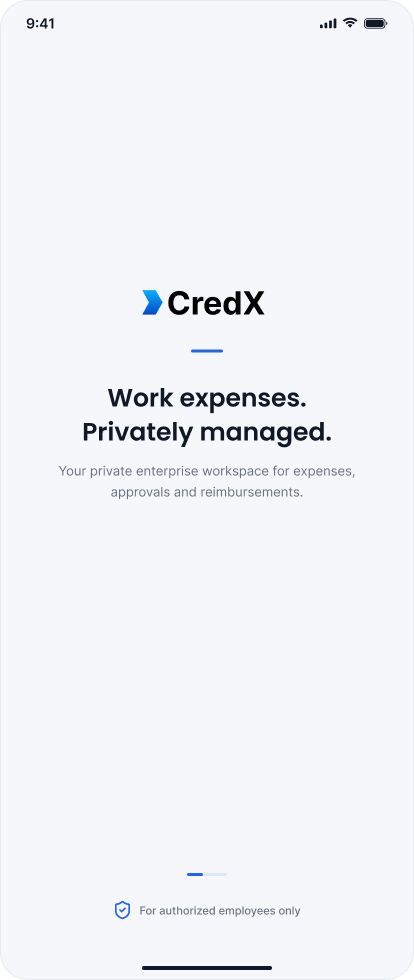 CredX splash screen