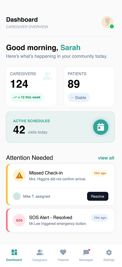 Admin Caregiver Profile Wireframe