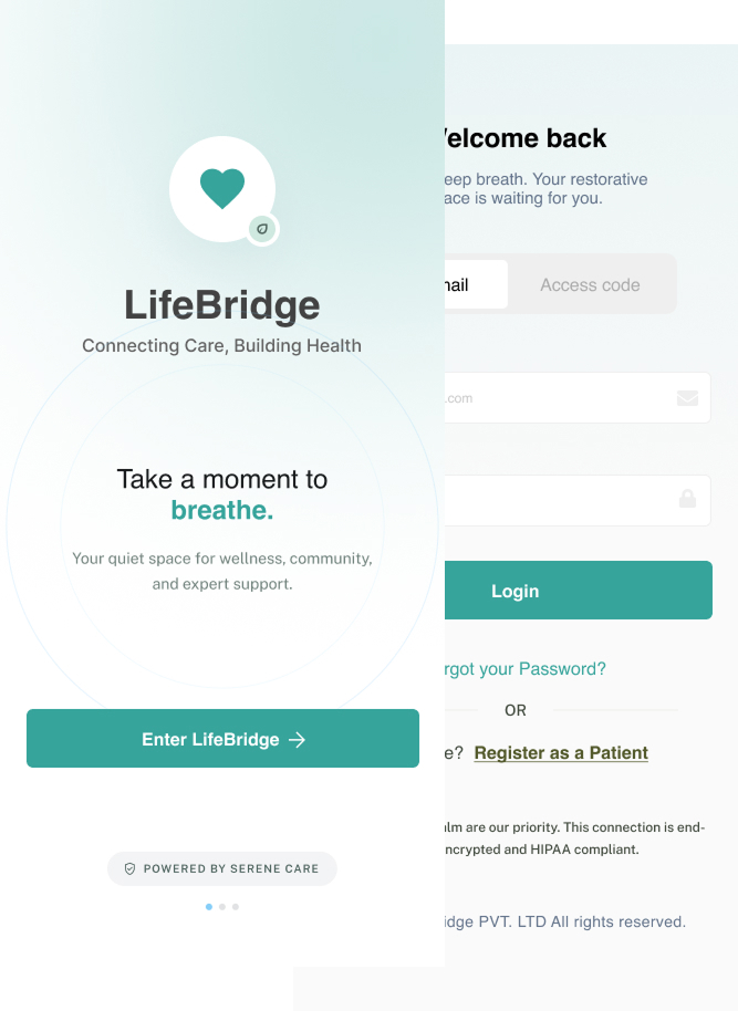 LifeBridge executive summary